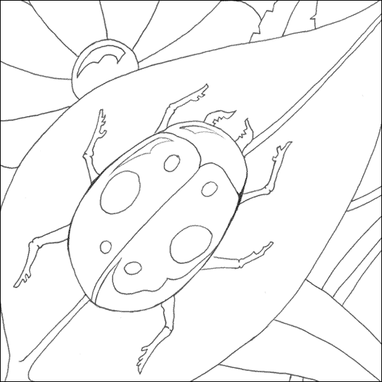 Lady Bird Coloring Pages - Ladybug Cartoon Insect Image – Coloring Page
