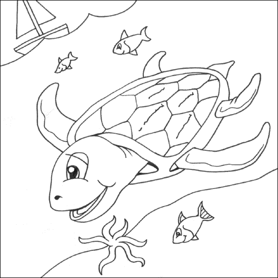 Animal Coloring Pages: Turtle coloring pages