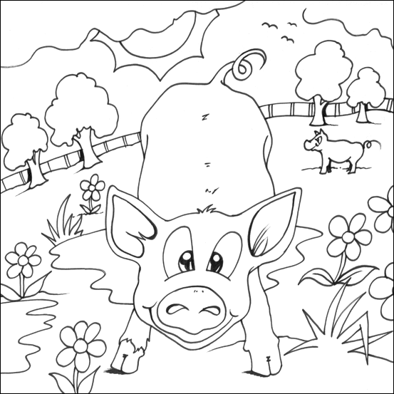 Colouring Pig Picture