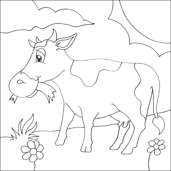 Cow Colouring picture