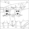 Two Sheep Colouring