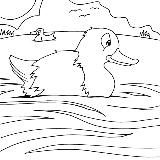 Duck Colouring