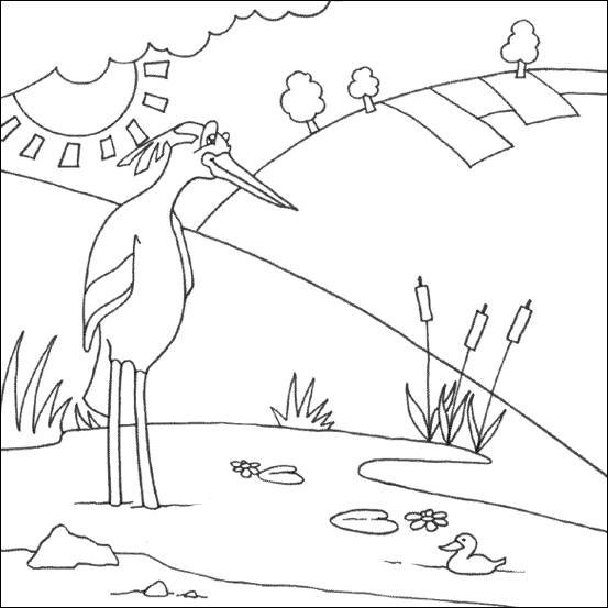Heron colouring picture