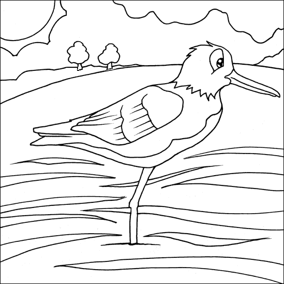 Plover Colouring