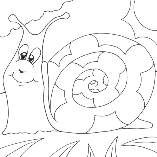 Happy Snail Colouring