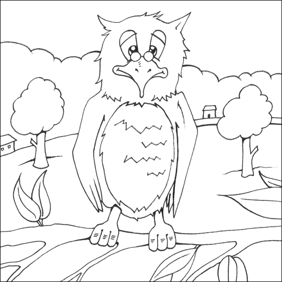 Owl Colouring Picture