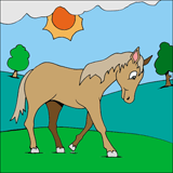 horse colouring