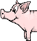 half pig
