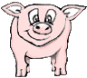 pig number 2
