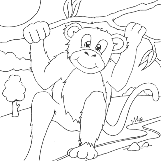 Monkey Colouring Picture