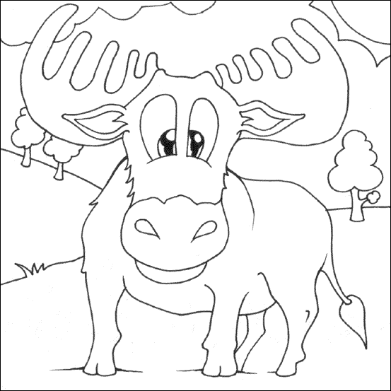 Moose colouring picture